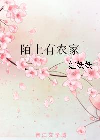 双色球预测汇总剧情介绍