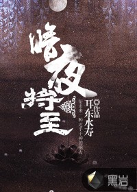 领袖剧情介绍