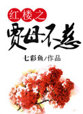 沈芙剧情介绍