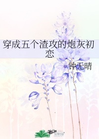 岭南师范学院正方系统剧情介绍