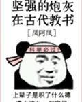 乱年轻的母亲小说剧情介绍