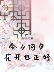 久久奈剧情介绍