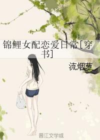 《我的妻子的姐姐2》剧情介绍