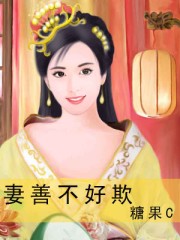 婚过去后欣欣向荣剧情介绍