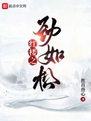 都市花缘梦小说剧情介绍