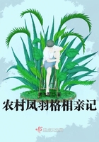 虎威兵锋剧情介绍