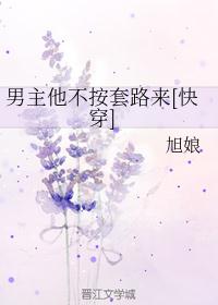 小说皮剑青寻龙天师免费阅读剧情介绍