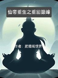 奇奥网李宗端精装版剧情介绍