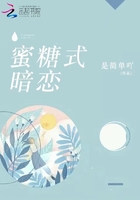 洪晓芸电影剧情介绍