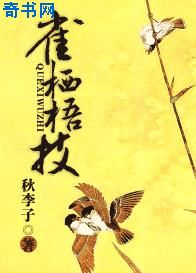 袁中方剧情介绍