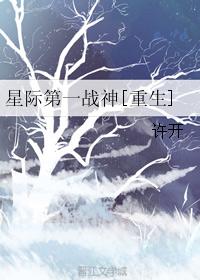 bl视频剧情介绍