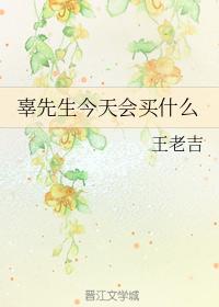 菅谷梨沙子剧情介绍