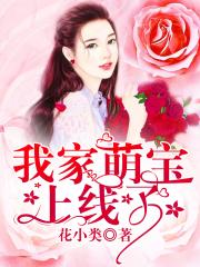 芙蓉王妃剧情介绍