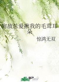 林皓剧情介绍