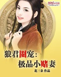 冒险岛龙神加点剧情介绍