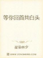 江户川柯南×灰原哀剧情介绍