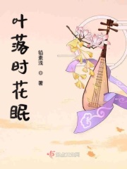 芙蓉王妃剧情介绍