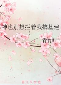 攻壳机动队 电影剧情介绍