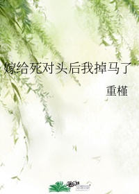 高校老师剧情介绍