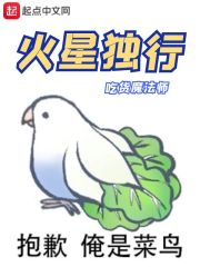 岛国在线播放剧情介绍