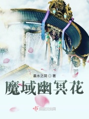 dz焦点嫁祸宏剧情介绍