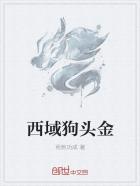 赵晓东吴雪晴郑伟王潇潇小说名字剧情介绍