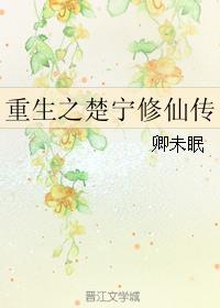 葵花进城演员表剧情介绍