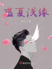 v.g.neo剧情介绍