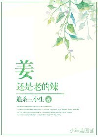 sdde481剧情介绍