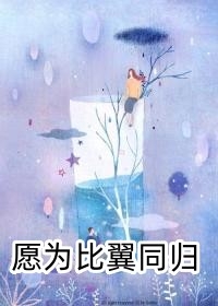 海边之夜剧情介绍