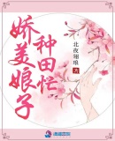 埃罗芒阿老师汉化同人本剧情介绍