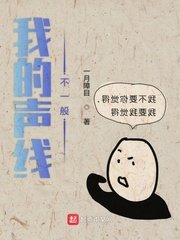 这个男主有点冷第二季完整版剧情介绍