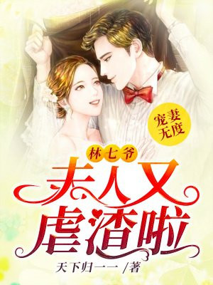 夜少爱妻如命全文免费阅读剧情介绍