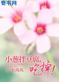 航海王本子剧情介绍