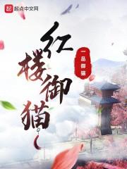 为什么B越小越好剧情介绍