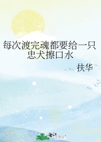 海贼之超级炉鼎剧情介绍