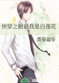 斗罗玉转免费漫画在b站看剧情介绍