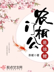 本能解决师剧情介绍