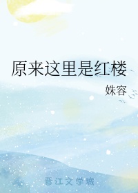 我的中尉先生未增删动画免费观看剧情介绍