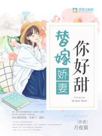 旋风少女梦幻番外篇电视剧剧情介绍