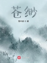 宁北布衣无尘最新章节剧情介绍