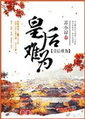 宝可梦新无印免费观看中文版剧情介绍