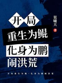 开间剧情介绍