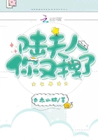 狼性军长要够了没剧情介绍