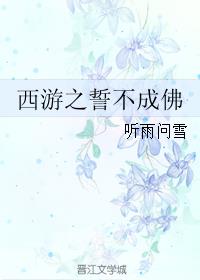 精灵宝可梦新无印免费剧情介绍