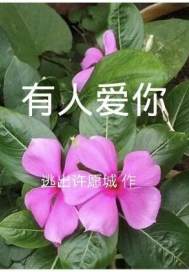 依然绿茵的日子剧情介绍