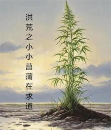 感官世界在线电影剧情介绍