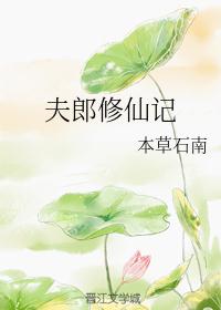 华丽的外出中文字幕剧情介绍