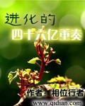 怎么玩自己剧情介绍