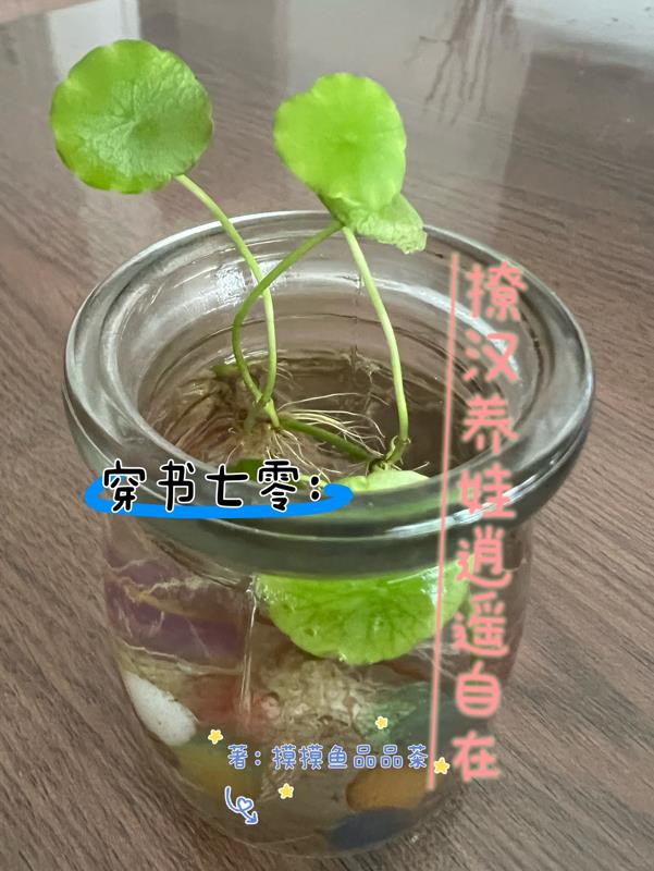 么公的好大好爽想要剧情介绍